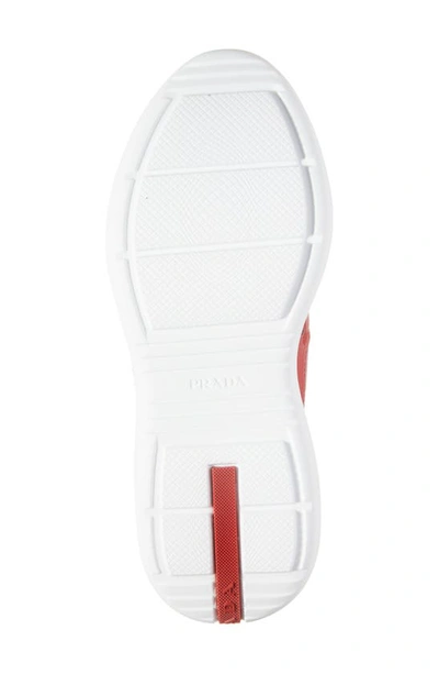Shop Prada America's Cup Sneaker In Red