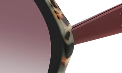 Shop Carolina Herrera 55mm Gradient Square Sunglasses In Black Burgundy/ Burgundy