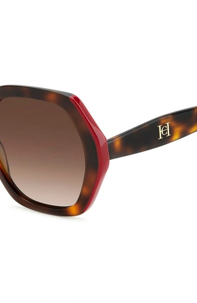 Shop Carolina Herrera 55mm Gradient Square Sunglasses In Havana Red/ Brown Gradient