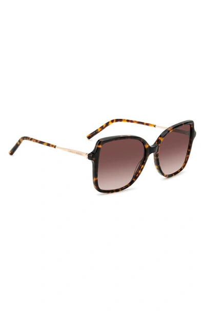 Shop Carolina Herrera 55mm Square Sunglasses In Havana Gold/ Brown Gradient