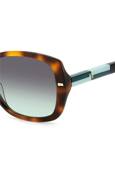 Shop Carolina Herrera 56mm Round Sunglasses In Havana Green/ Gray Green