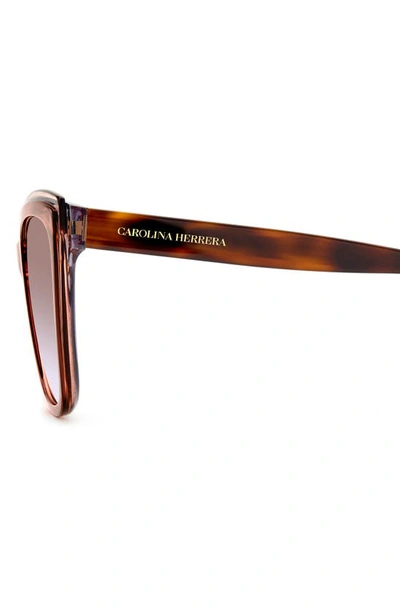 Shop Carolina Herrera 55mm Cat Eye Sunglasses In Brown Grey/ Brown Violet