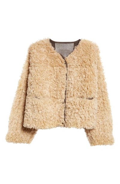 Shop Stand Studio Charmaine Faux Shearling Jacket In Natural Beige/ Mole Grey