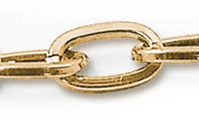 Charm It Goldtone Chain Necklace In Gold