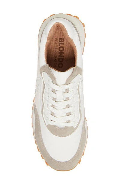 Shop Blondo Lois Retro Waterproof Running Sneaker In White Multi