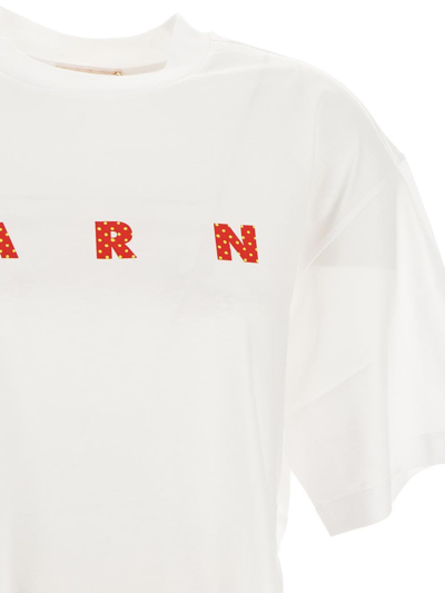 Shop Marni Polka Logo T-shirt In White