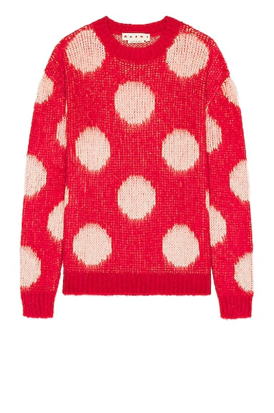 Shop Marni Roundneck Sweater In Tulip