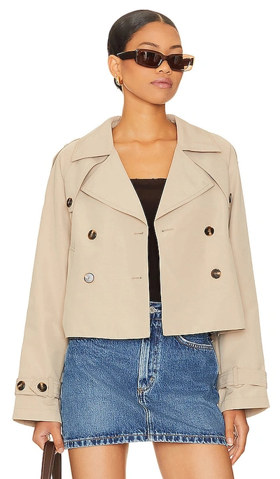 Shop Steve Madden Sirus Jacket In Khaki