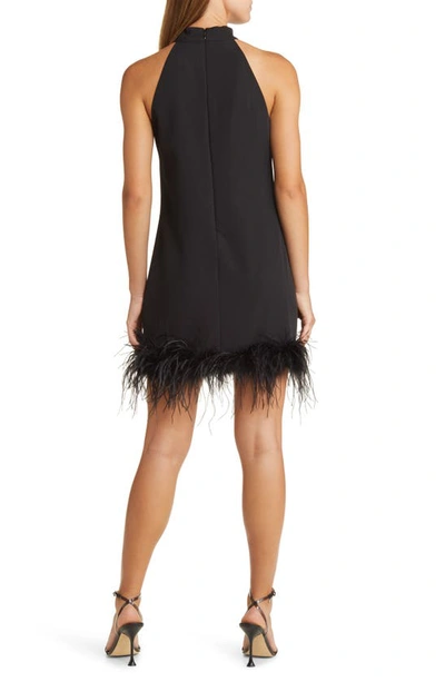 Shop Sam Edelman Halter Neck Feather Trim Cocktail Dress In Black