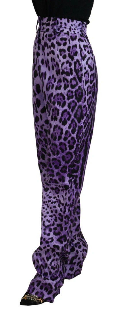 Shop Dolce & Gabbana Purple Leopard Print High Waist Women's Pants