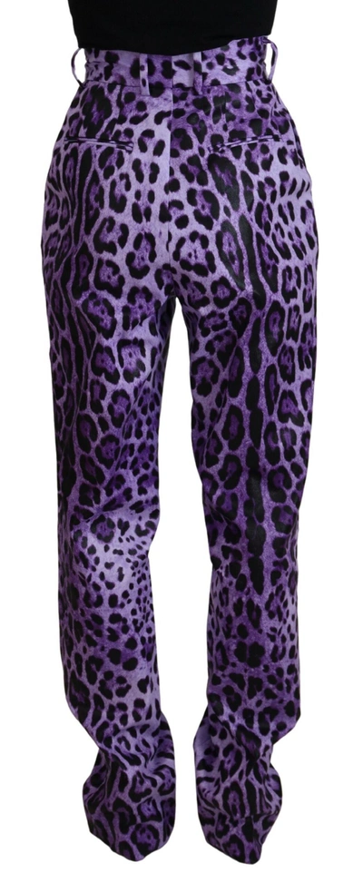 Shop Dolce & Gabbana Purple Leopard Print High Waist Women's Pants