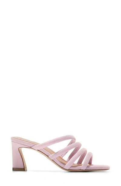 Shop Cole Haan Adella Strappy Sandal In Orchid Pet