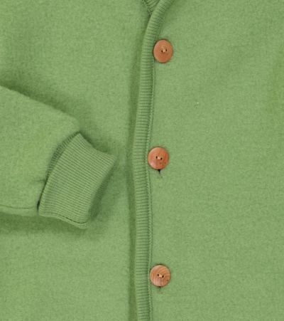 Molo Baby Umber Wool Cardigan In Green