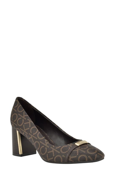 Calvin Klein Unesta Pointed Toe Pump In Brown Logo