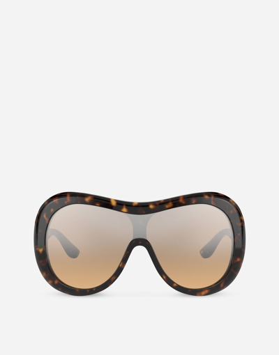 Shop Dolce & Gabbana Dna Sunglasses In Havana