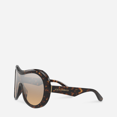 Shop Dolce & Gabbana Dna Sunglasses In Havana