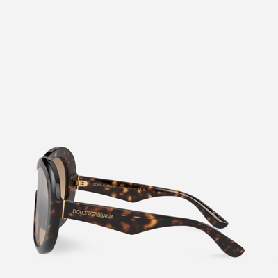 Shop Dolce & Gabbana Dna Sunglasses In Havana