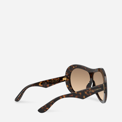 Shop Dolce & Gabbana Dna Sunglasses In Havana