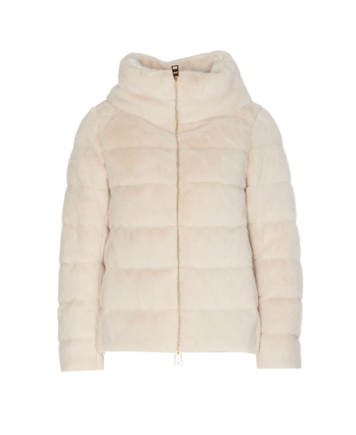 Herno Jacket In White