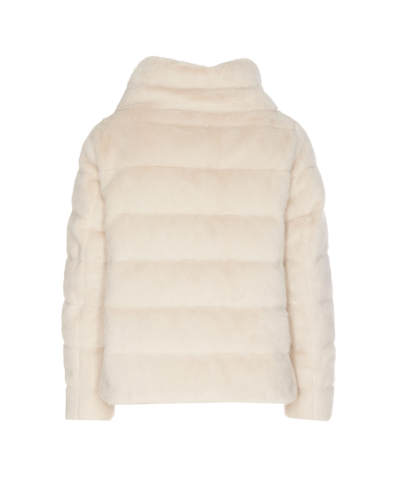 Herno Jacket In White