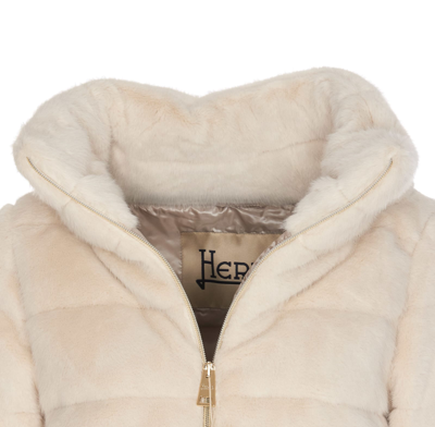 Herno Jacket In White