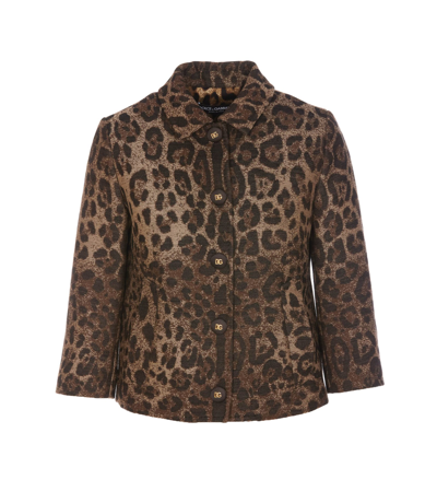 Shop Dolce & Gabbana Cropped Animalier Jacket In Brown