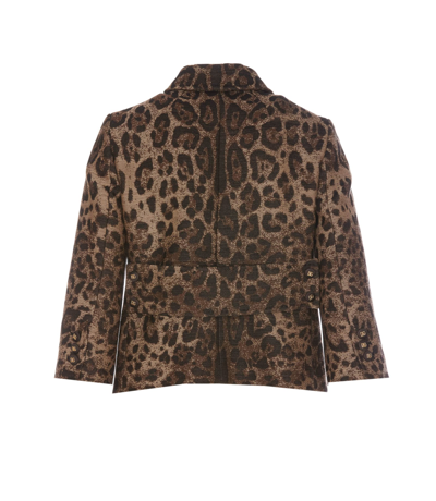 Shop Dolce & Gabbana Cropped Animalier Jacket In Brown