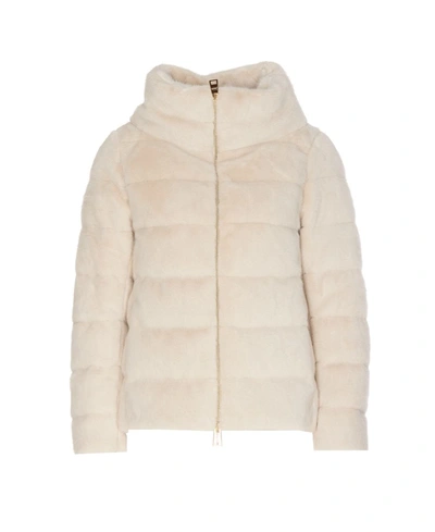 Herno Jacket In White