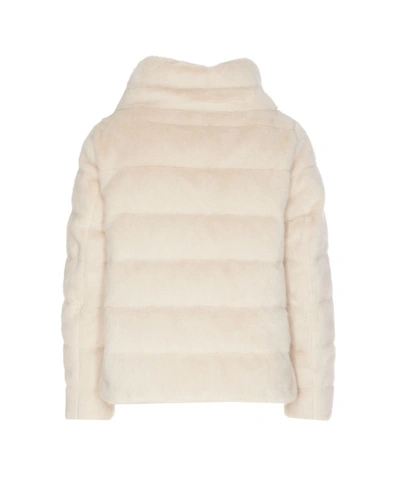 Herno Jacket In White