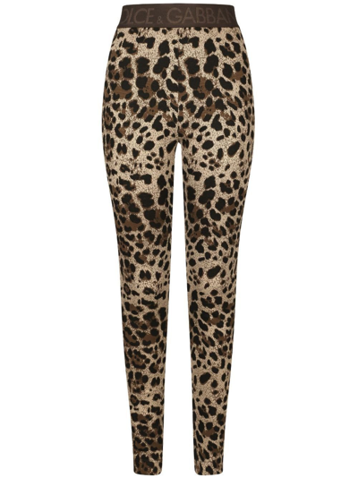 Shop Dolce & Gabbana Brown Leopard-jacquard Leggings In Neutrals