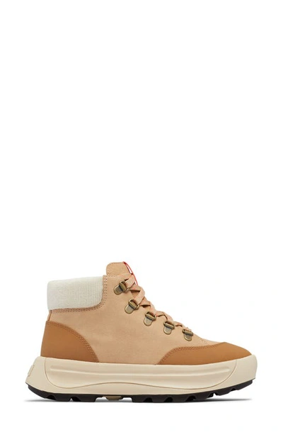 Shop Sorel Ona 503 Hiker Platform Sneaker In Canoe/ Bleached Ceramic