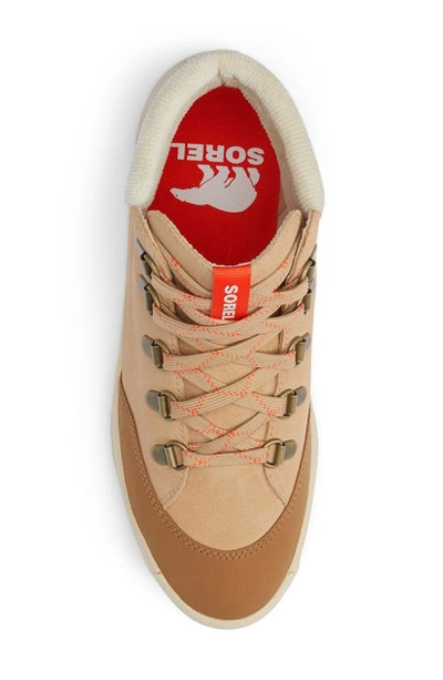 Sorel Ona 503 Hiker Platform Sneaker In Canoe/ Bleached Ceramic