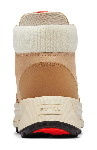 Sorel Ona 503 Hiker Platform Sneaker In Canoe/ Bleached Ceramic