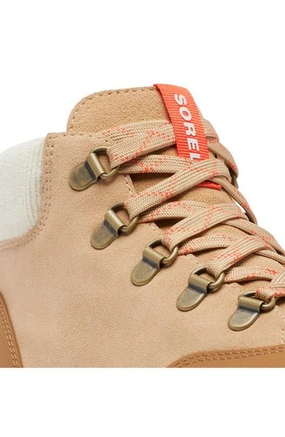 Shop Sorel Ona 503 Hiker Platform Sneaker In Canoe/ Bleached Ceramic