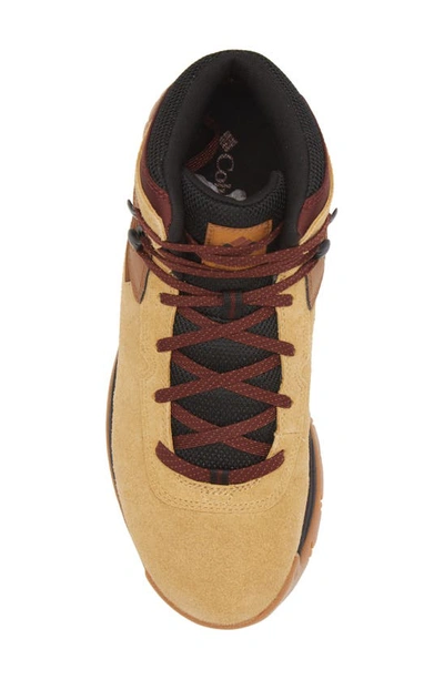 Shop Columbia Newton Ridge™ Bc Hiking Boot In Curry/ Madder Brown