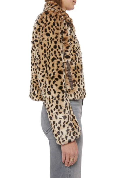 Shop Mother The Pony Keg Cheetah Print Faux Fur Jacket In Soft Spot