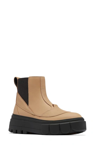 Shop Sorel Waterproof Platform Chelsea Boot In Canoe/ Jet