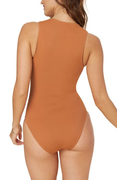 Shop Andie The Malibu Long Torso One-piece Swimsuit In Chestnut