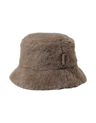 Shop Max Mara Hats In Brown