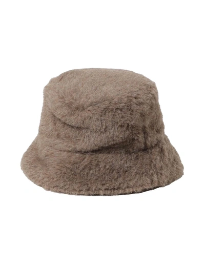 Shop Max Mara Hats In Brown