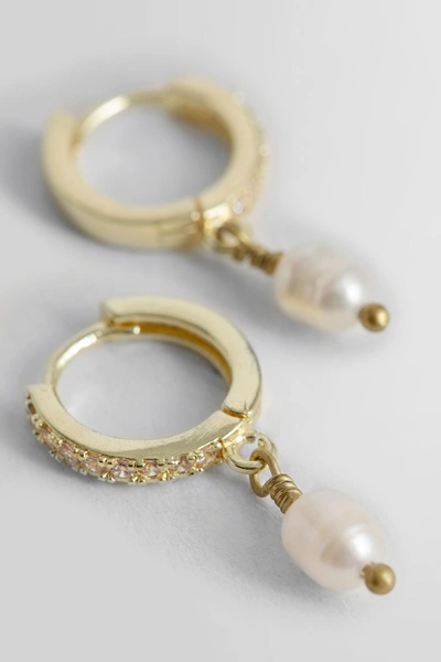 Shop Angostura Unisex Gold Earrings