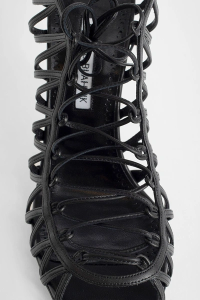 Shop Manolo Blahnik Woman Black Sandals
