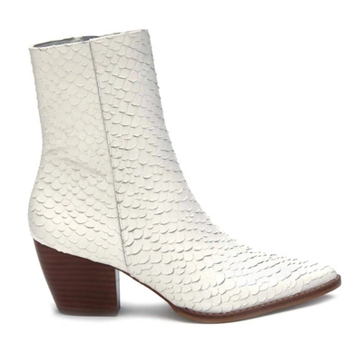 Shop Matisse Caty Boot In White