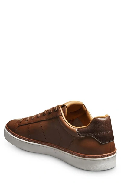 Allen Edmonds Men's Alpha Leather Low-top Sneakers In Walnut