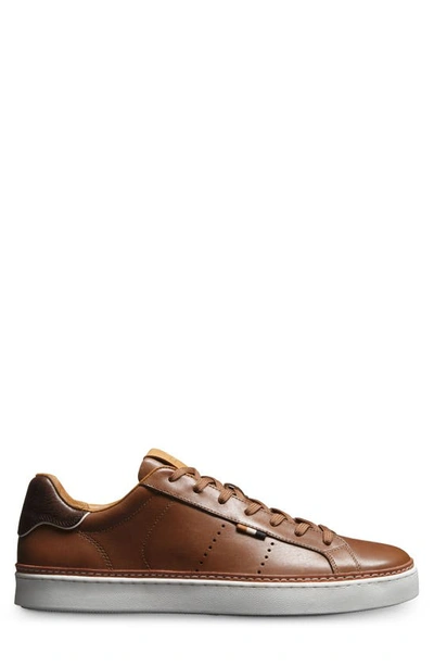 Allen Edmonds Men's Alpha Leather Low-top Sneakers In Walnut