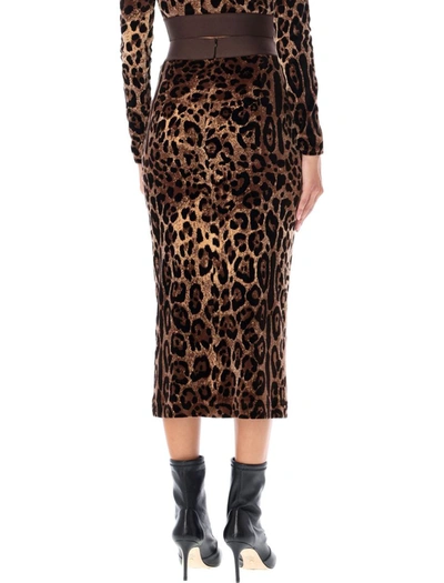 Shop Dolce & Gabbana Long Skirt Knit Leo