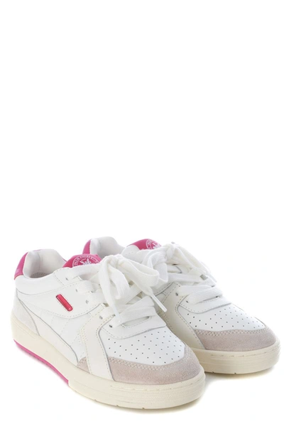 Palm Angels Palm University Mixed Leather Sneakers In White/fuxia