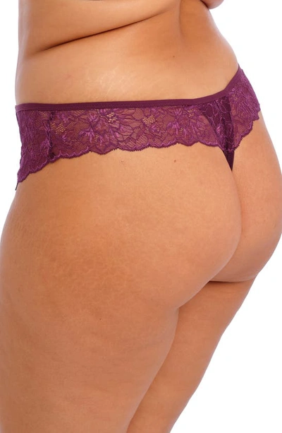 Shop Elomi Brianna Lace & Mesh Thong In Blackberry