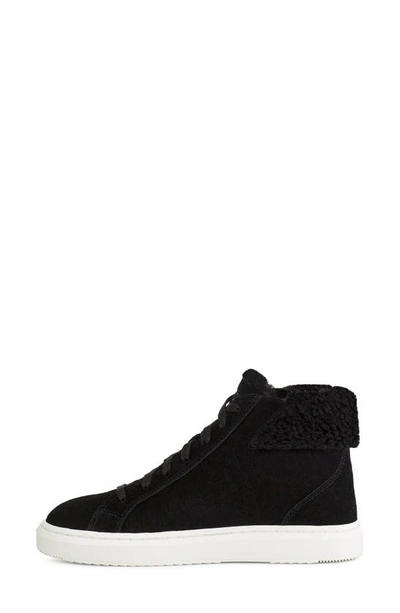 Shop Ugg Alameda Zip Mid Sneaker In Black