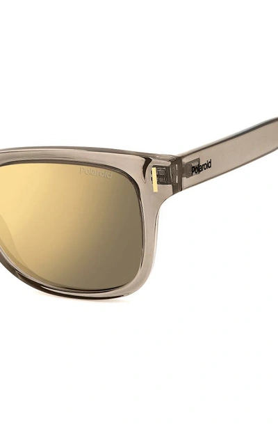 Shop Polaroid 51mm Polarized Square Sunglasses In Beige/ Grey Gold Polarized